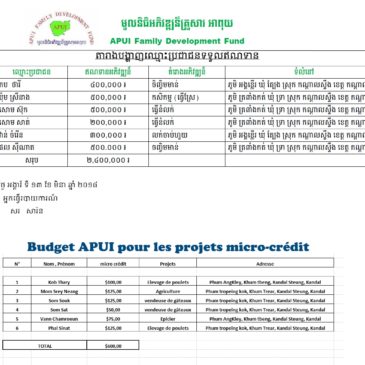 APUI Micro-Crédit