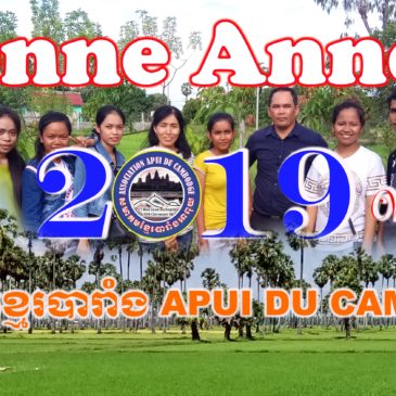 Bonne Année 2019